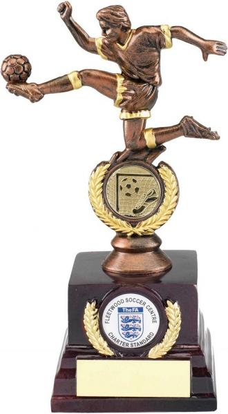 Bronze and Gold Player Trophy