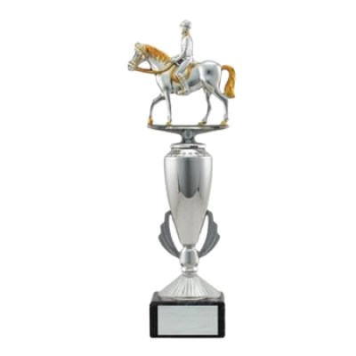 Gold and Silver Equestrian Award