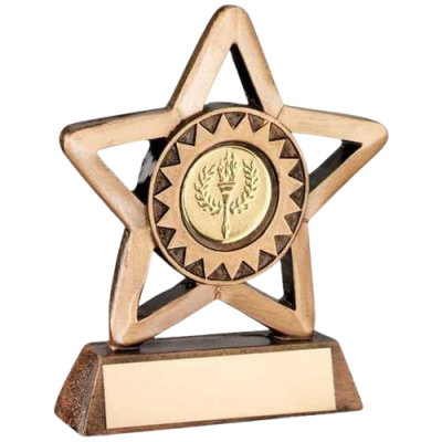 Star Achievement Award