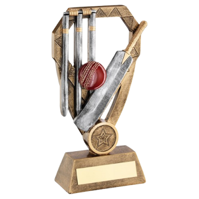 Cricket Ball & Bat Diamond Award