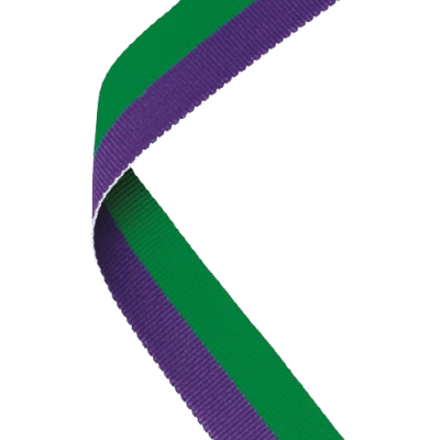 22mm Clip On Ribbon - Green & Purple