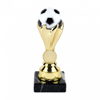 Soccer Ball Trophy