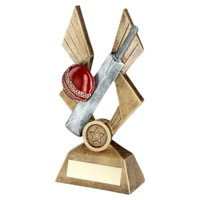 Cricket on Pointed Backdrop Award