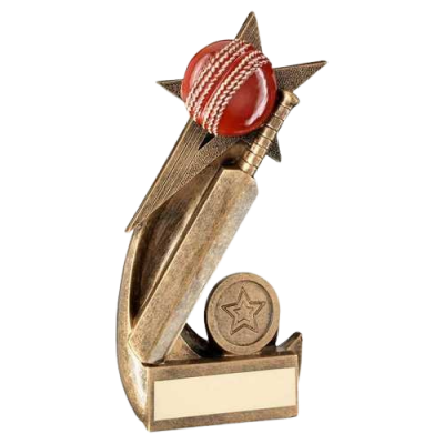 Cricket Ball and Bat on Shooting Star