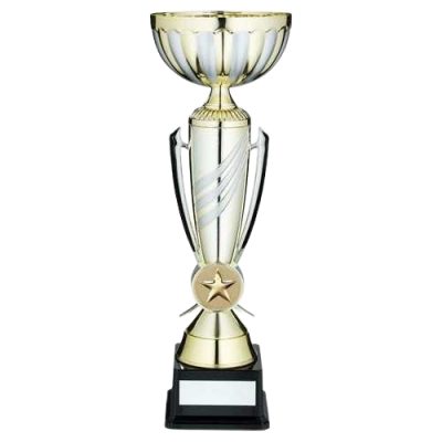 Gold/Matt Silver 3 Stripe Trophy Cup