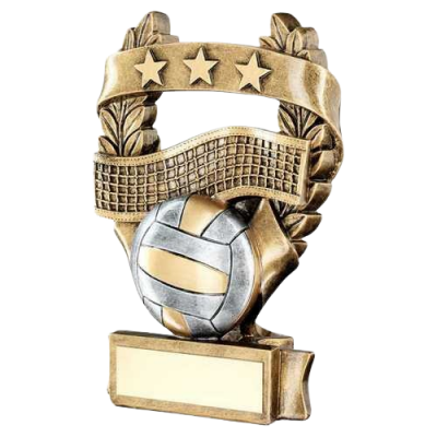 Volleyball 3 Star Wreath Award