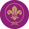 scouts medal sticker