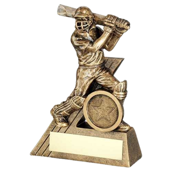 Cricket Batsman Mini Figure