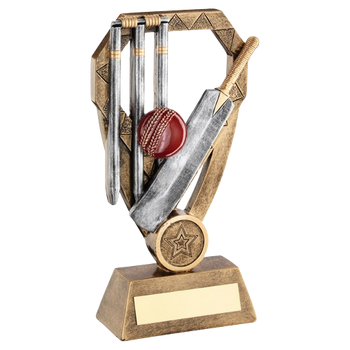 Cricket Ball & Bat Diamond Award